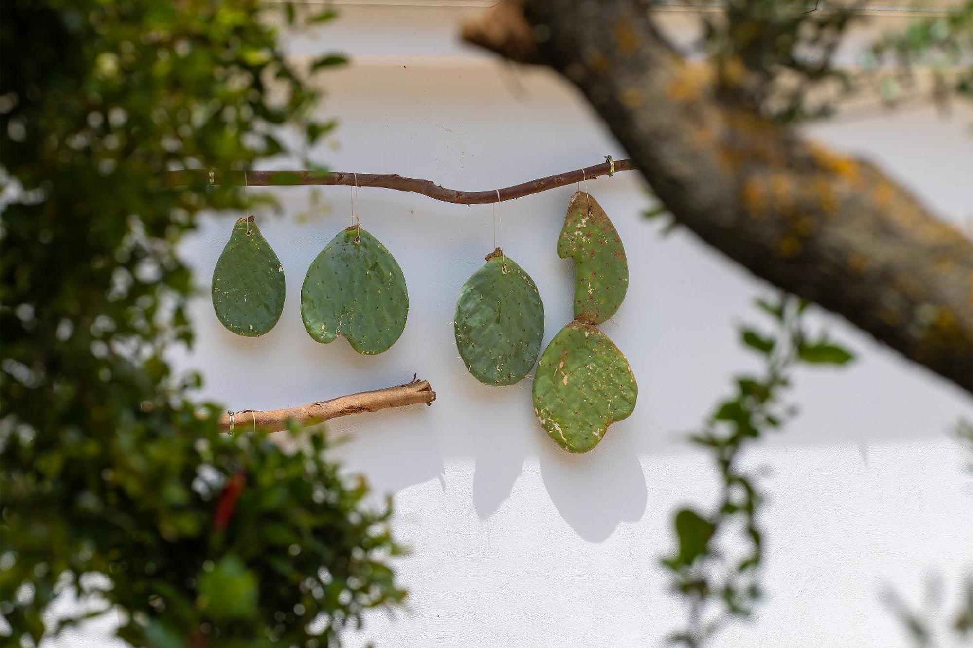 Hotel Masseria Fontanelle Ugento Bagian luar foto